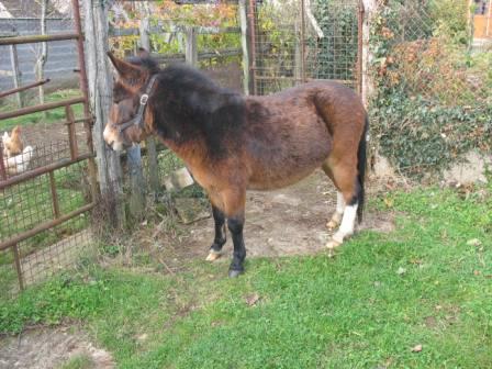 Photo de profil de kiki_san