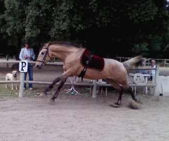 Photo de profil de kody
