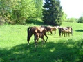Photo de profil de ladymoon75