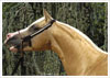 Photo de profil de lapinette