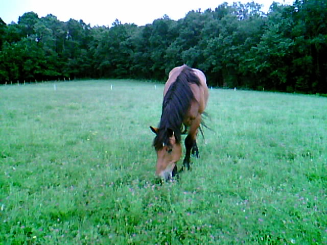 Photo de profil de lapuce24