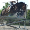 Photo de profil de latrottinette