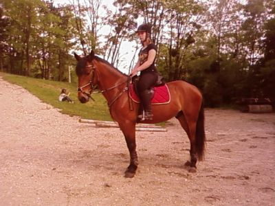 Photo de profil de lau01