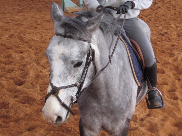 Photo de profil de laulau18