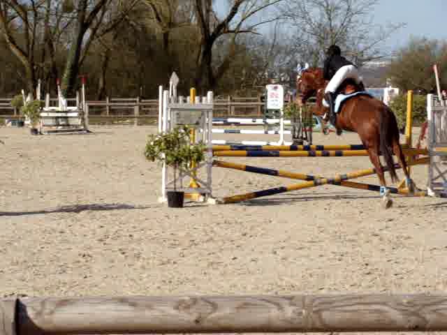 Photo de profil de lhastasia