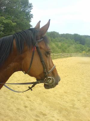 Photo de profil de lilidu95