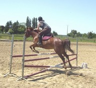 Photo de profil de liloo-lights