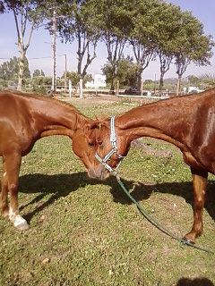 Photo de profil de liluzia