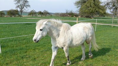 Photo de profil de linooou