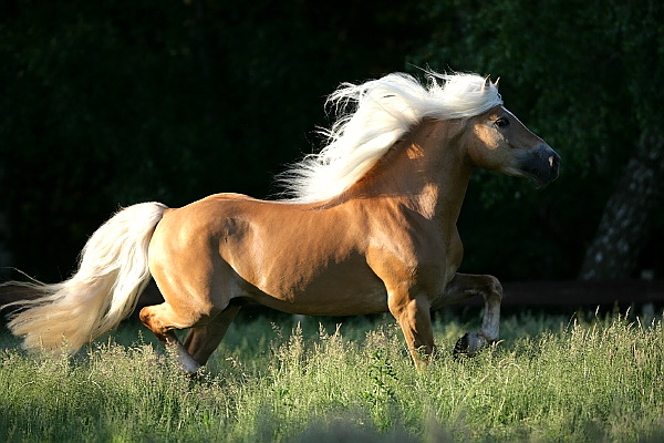 Photo de profil de lol-mdr