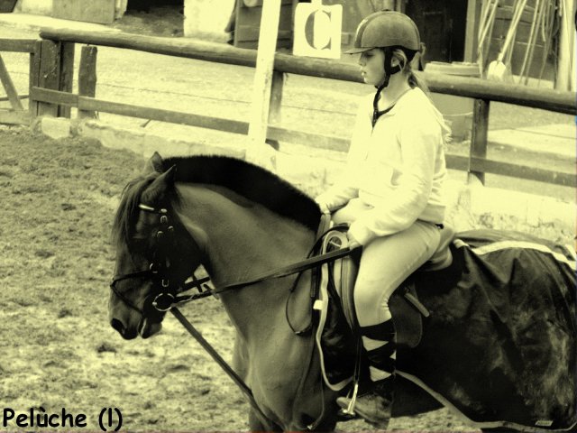 Photo de profil de loma