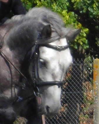 Photo de profil de lookitdubrana