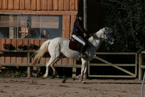 Photo de profil de louloupio