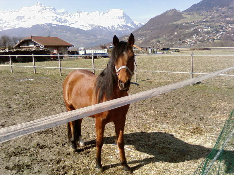 Photo de profil de louloute74