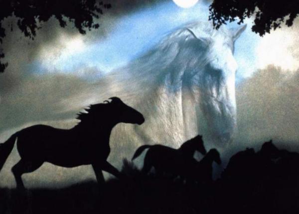 Photo de profil de love-my.animals