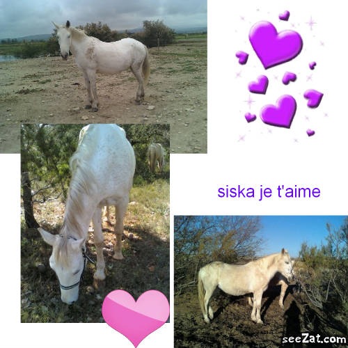 Photo de profil de love-sinai