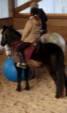 Photo de profil de lucky-luck