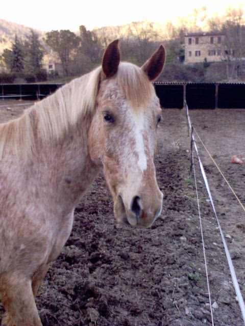 Photo de profil de lull