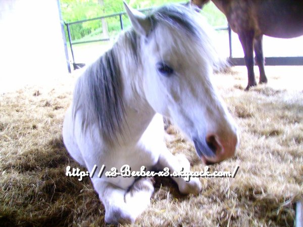 Photo de profil de lutin36