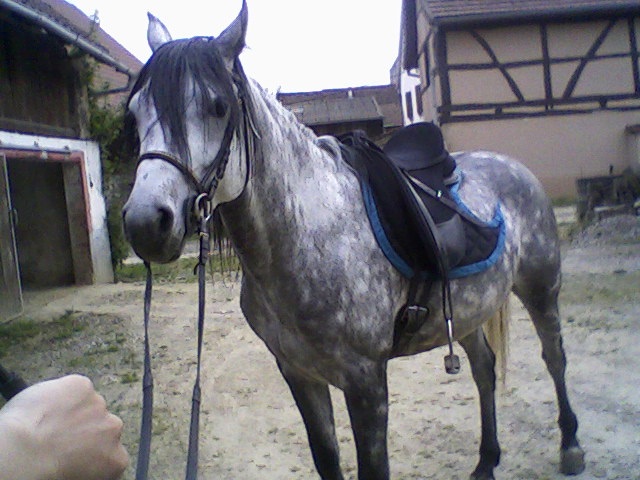 Photo de profil de lydie