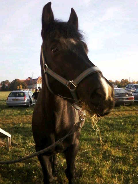 Photo de profil de lylysht