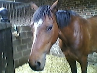 Photo de profil de malau