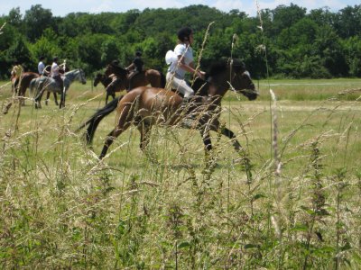 Photo de profil de malley-x3