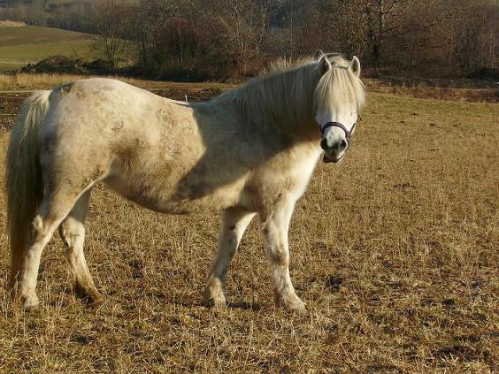 Photo de profil de mamujy