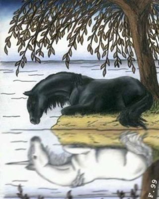 Photo de profil de manijia