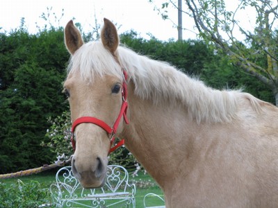 Photo de profil de margauxc.