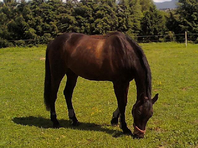 Photo de profil de marined2a