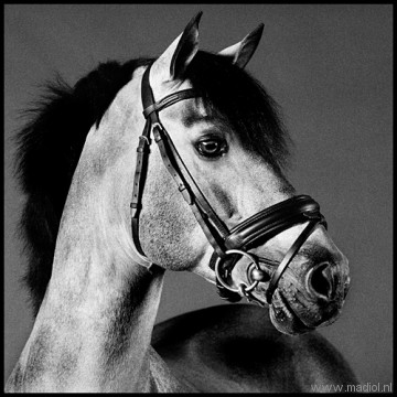 Photo de profil de martha