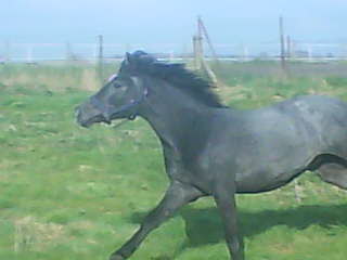 Photo de profil de mathildecso