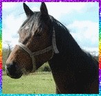 Photo de profil de maxou16