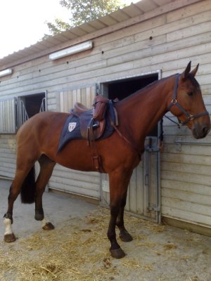 Photo de profil de mayore