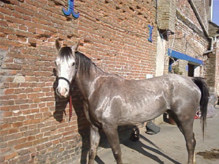 Photo de profil de melania59