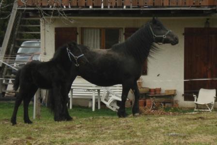 Photo de profil de merens74
