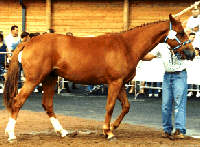 Photo de profil de mikei