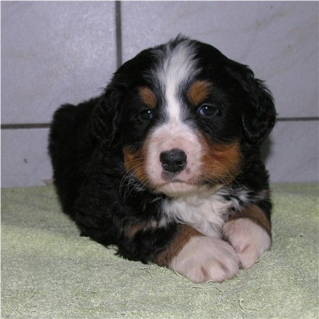 Photo de profil de mirabel