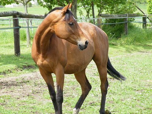 Photo de profil de missetoceane