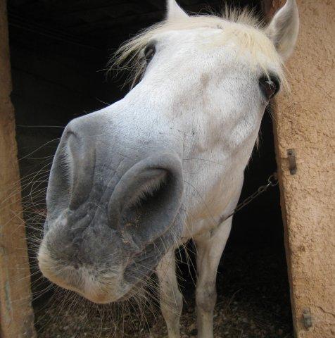 Photo de profil de mllexdebo