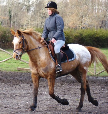 Photo de profil de momo33