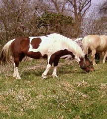 Photo de profil de morgane25