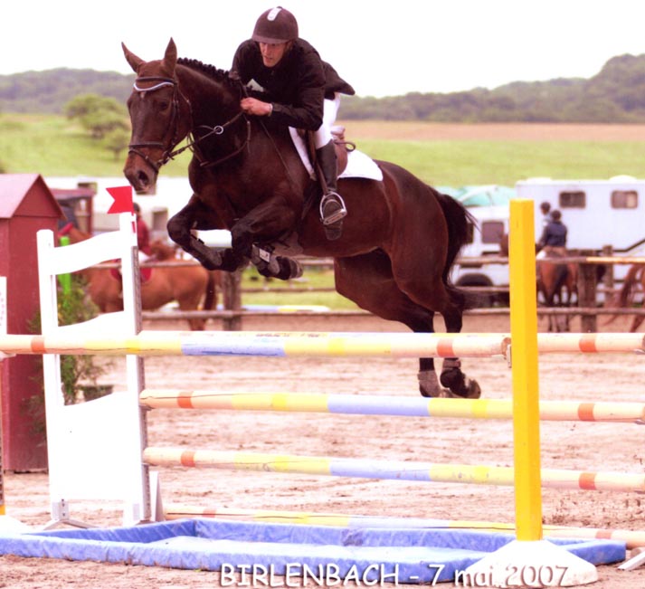 Photo de profil de mystik