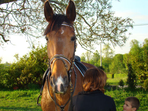 Photo de profil de nadiaj