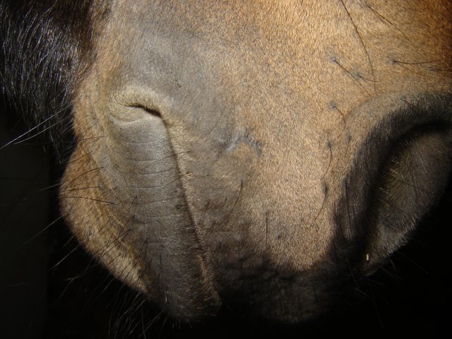 Photo de profil de nair