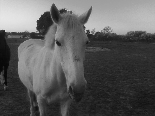 Photo de profil de nice85