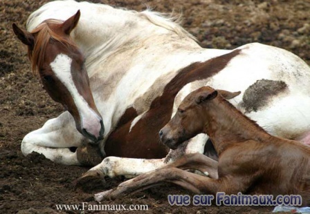 Photo de profil de niniebe