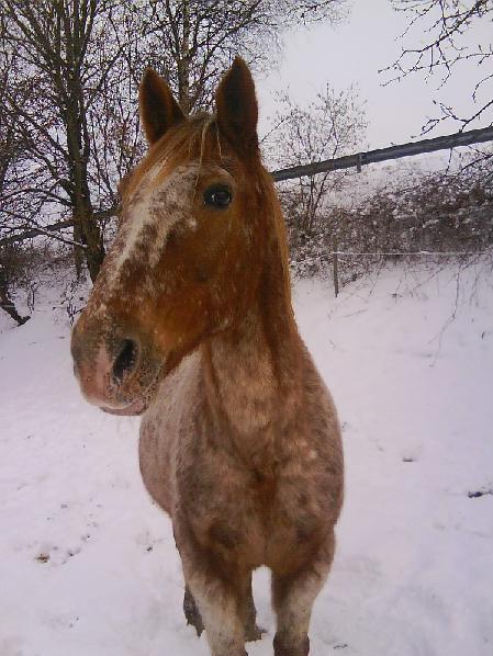 Photo de profil de nison88