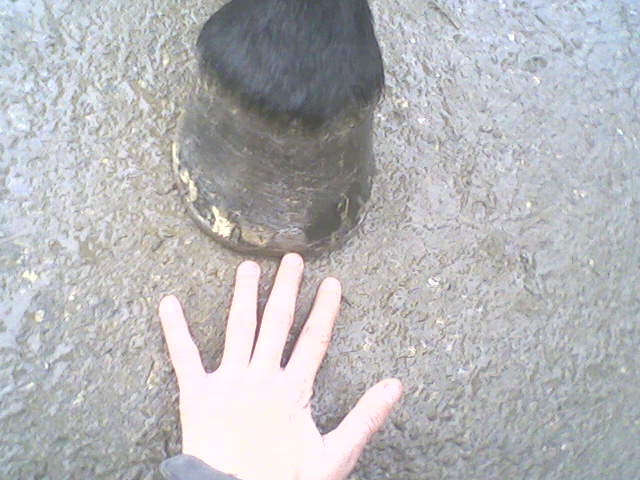 Photo de profil de noo-noubax3